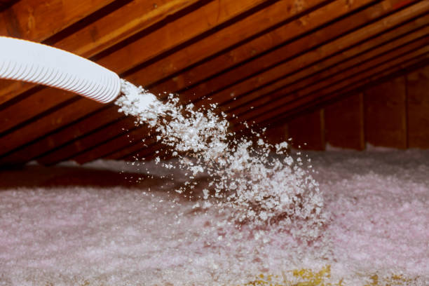 Best Best Insulation Companies  in Kirby, TX