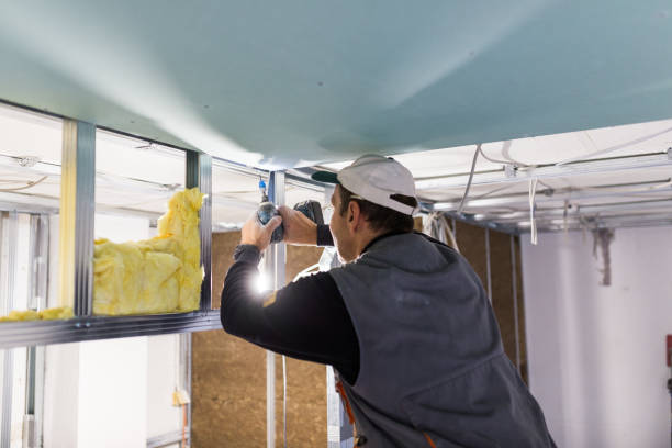Best Spray Foam Insulation  in Kirby, TX