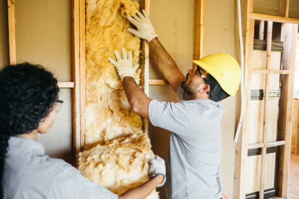 Professional Insulation Contractor in Kirby, TX
