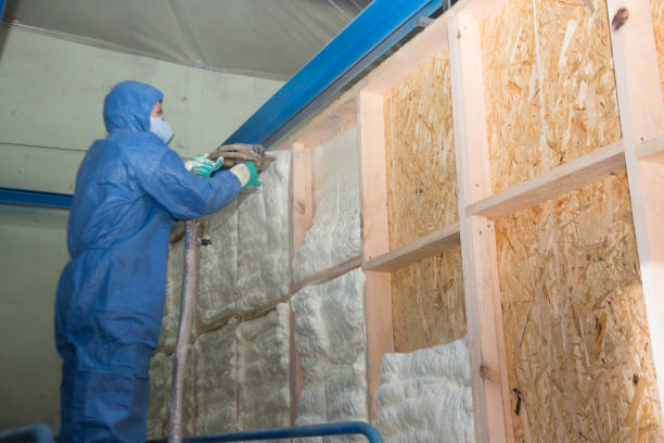 Best Soundproof Insulation Installation  in Kirby, TX