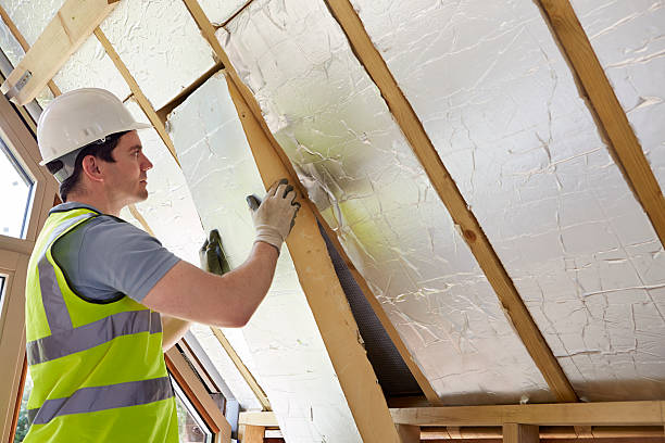 Best Energy-efficient Insulation  in Kirby, TX